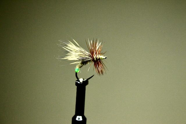 Kona BC3 Curved Nymph Caddis Barbless Hooks - Fly Tying, 30-Pack (Sizes 10-20)