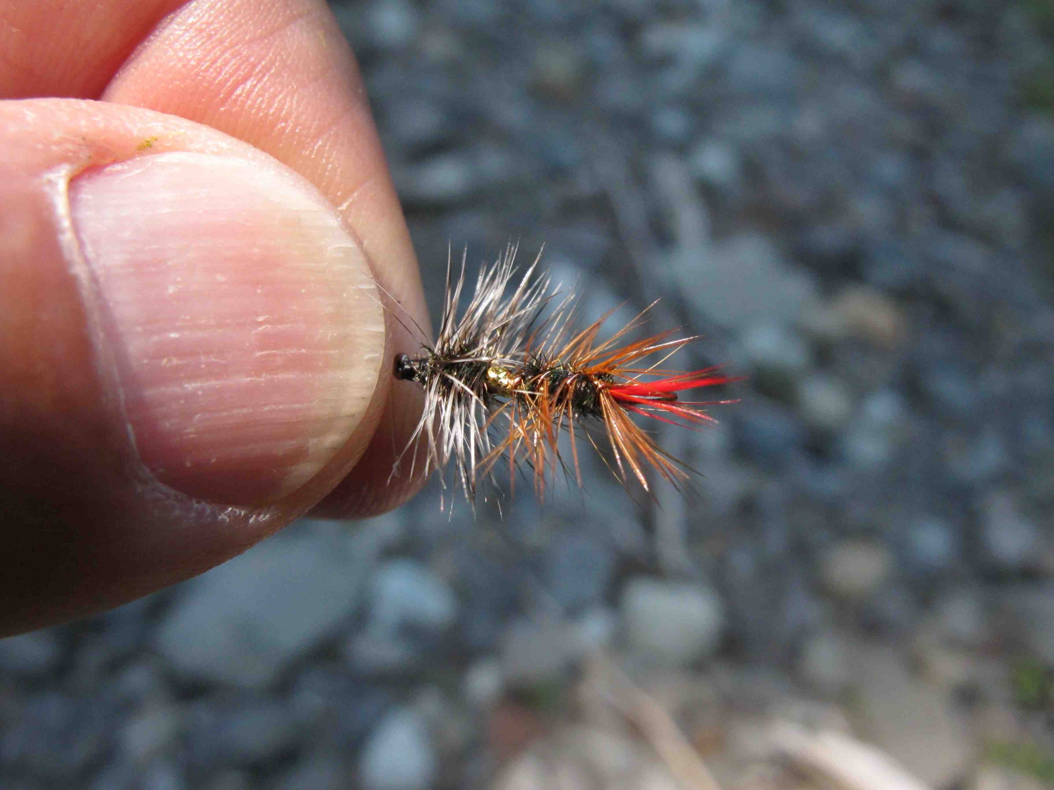 18 Best Trout Flies for March, April, and May: Spring Fly Fishing - The Fly  Crate