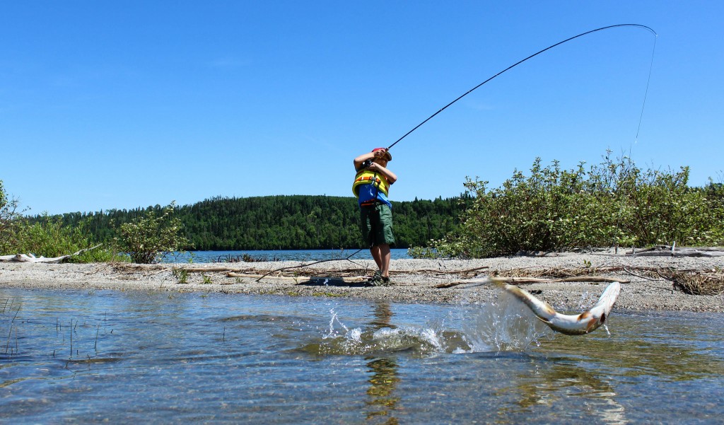 27958007701_afc1257e28_k(1)