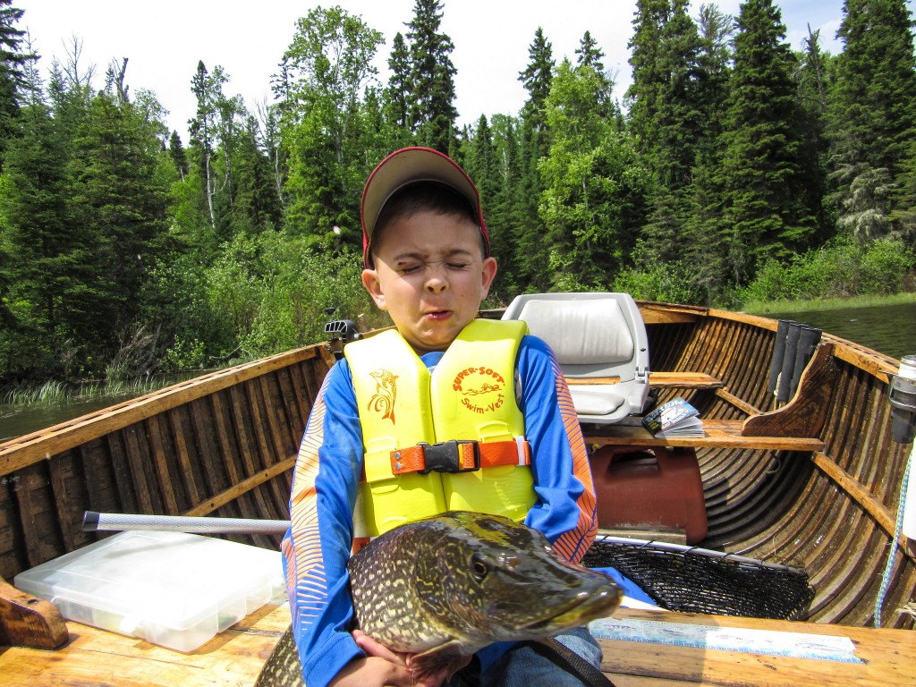 28153682005_b07dce3582_k(1)