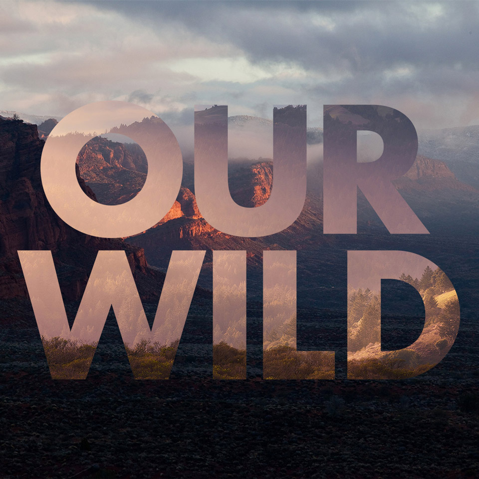 our_wild-12