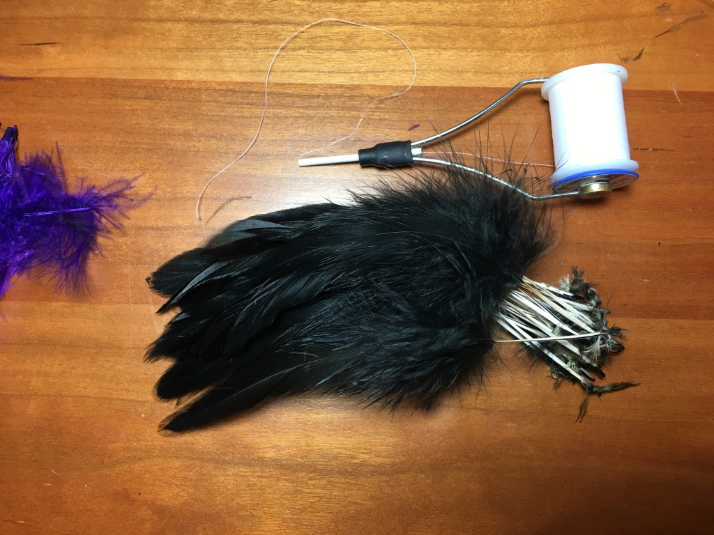 29 super select Schlappen feathers prepared for use as collars on winter steelhead flies.