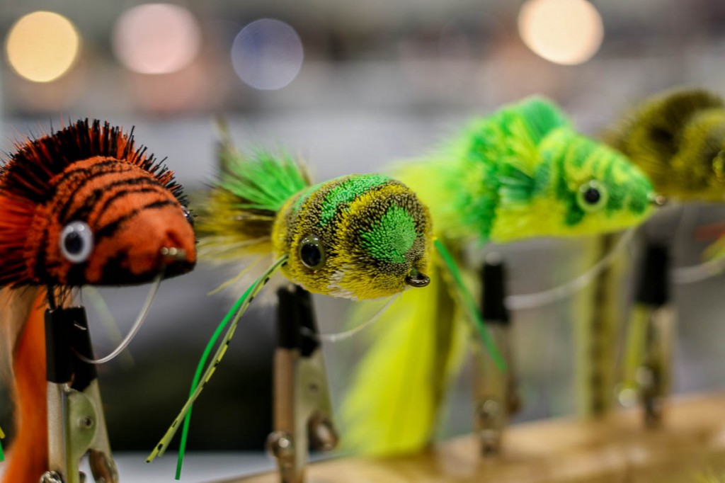 bass-bugs-shawn-west