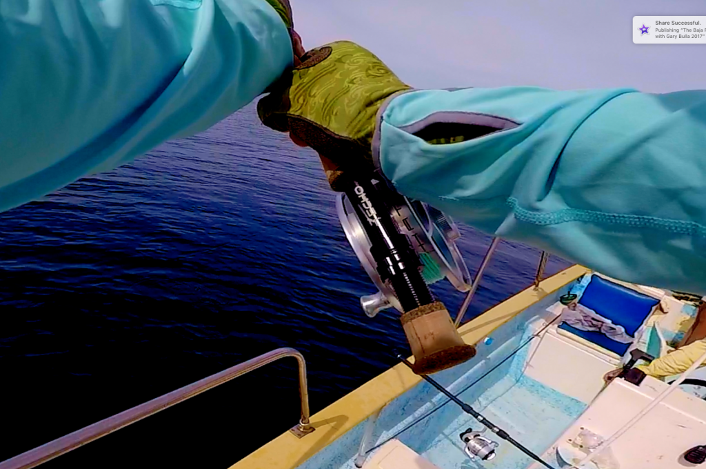 Here is one of my Hatch Finatic 11 Plus fly reels in action offshore La Ventana, Baja.