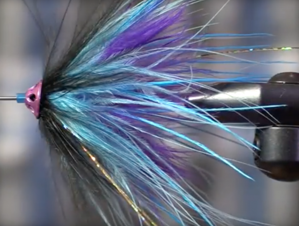 Nicholas' Marabou Steelhead Tube Fly (black/blue/purple)