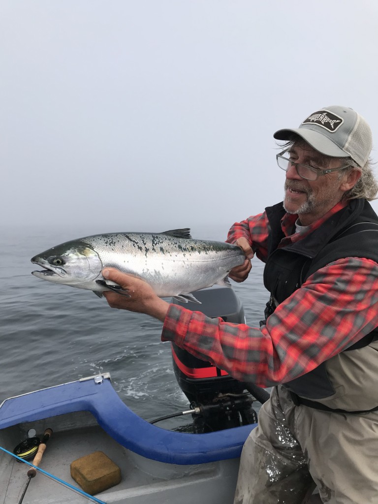 Hatchery coho to the fly in the waters offshore Pacific City three days ago.