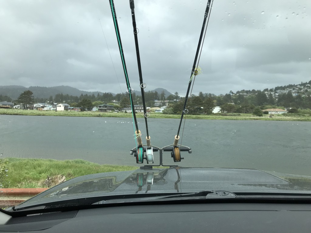 View though Jay's Windshield at the Boat Hole on the Nestucca, June 2019.