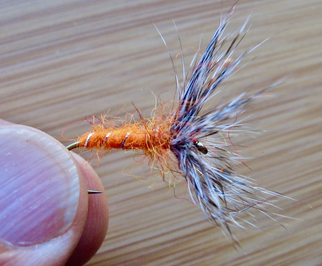 The Caddis Fly: Oregon Fly Fishing Blog | McKenzie River fly fishing ...